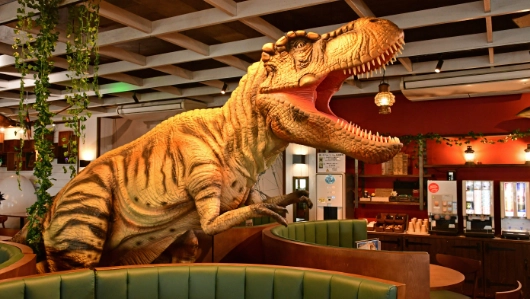 伊豆ぐらんぱる公園 ギャラリー